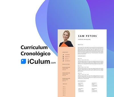 curriculum cronologico iculum p