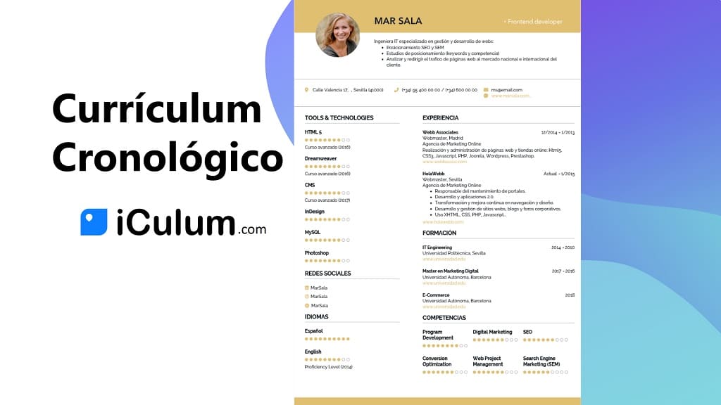 curriculum cronologico iculum